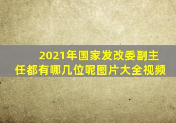 2021年国家发改委副主任都有哪几位呢图片大全视频