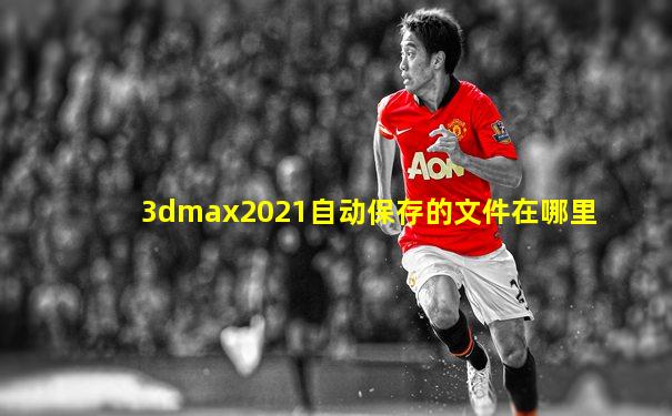 3dmax2021自动保存的文件在哪里