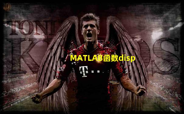 MATLAB函数disp