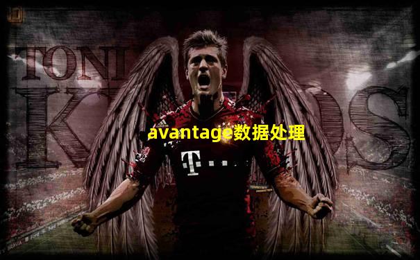 avantage数据处理