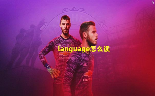 language怎么读