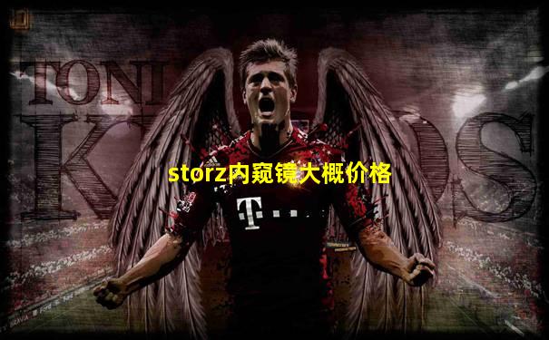 storz内窥镜大概价格