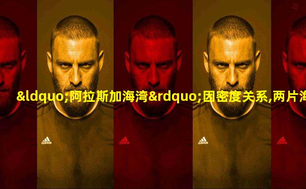 “阿拉斯加海湾”因密度关系,两片海不能融为一体