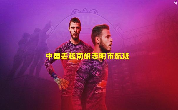 中国去越南胡志明市航班