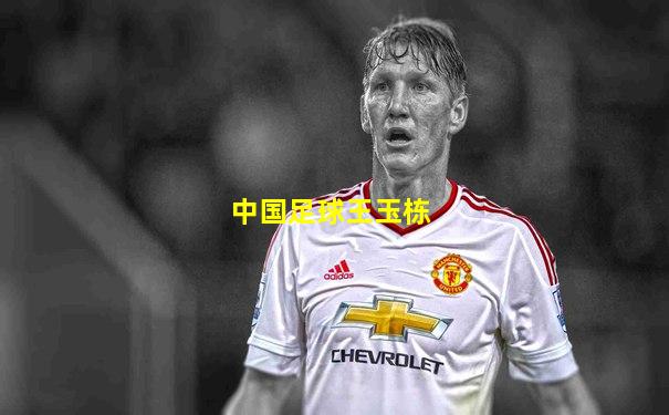中国足球王玉栋