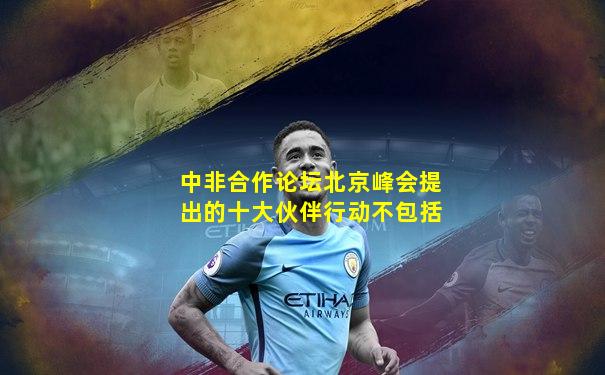 中非合作论坛北京峰会提出的十大伙伴行动不包括