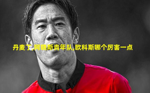 丹麦丁,阿晓斯青年队,欧科斯哪个厉害一点