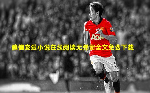 偏偏宠爱小说在线阅读无弹窗全文免费下载