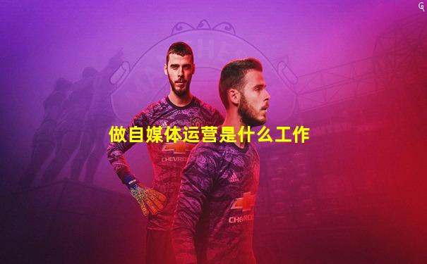 做自媒体运营是什么工作