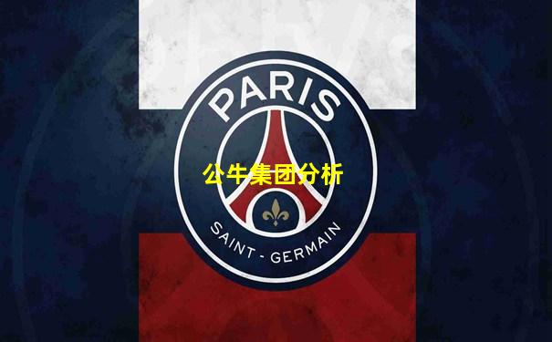 公牛集团分析