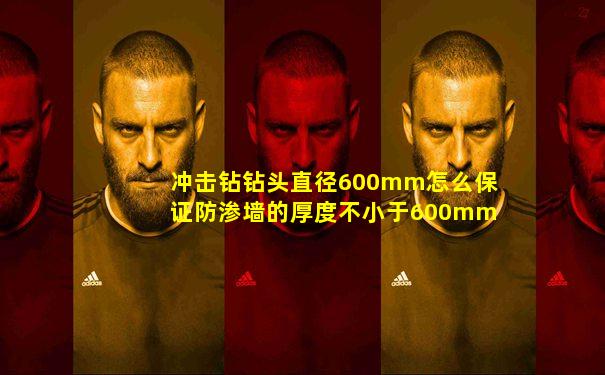 冲击钻钻头直径600mm怎么保证防渗墙的厚度不小于600mm