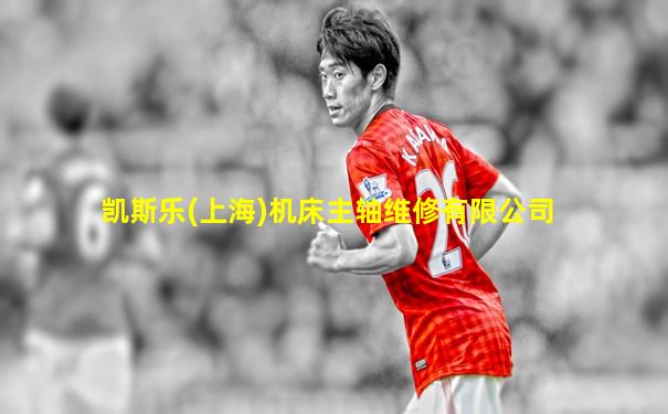 凯斯乐(上海)机床主轴维修有限公司
