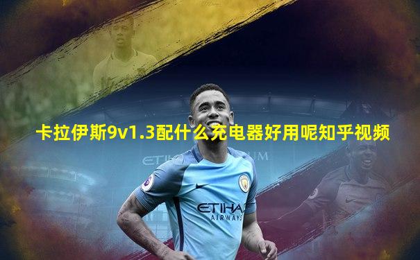 卡拉伊斯9v1.3配什么充电器好用呢知乎视频