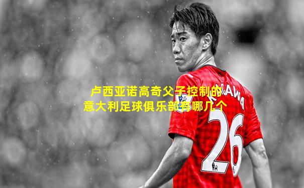 卢西亚诺高奇父子控制的意大利足球俱乐部有哪几个