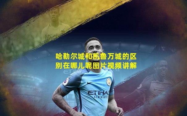 哈勒尔城和凯鲁万城的区别在哪儿呢图片视频讲解