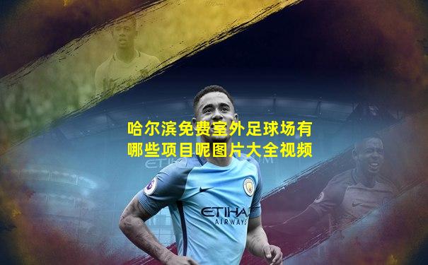 哈尔滨免费室外足球场有哪些项目呢图片大全视频