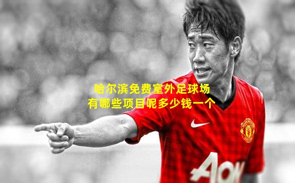 哈尔滨免费室外足球场有哪些项目呢多少钱一个