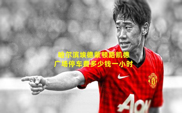 哈尔滨埃德蒙顿路凯德广场停车费多少钱一小时