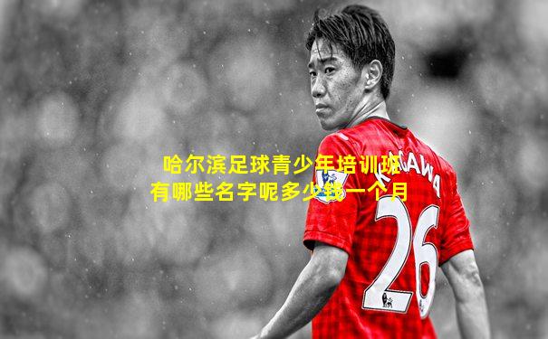 哈尔滨足球青少年培训班有哪些名字呢多少钱一个月