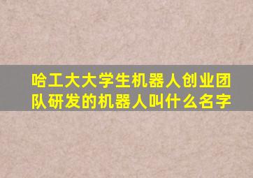 哈工大大学生机器人创业团队研发的机器人叫什么名字