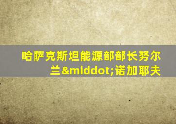 哈萨克斯坦能源部部长努尔兰·诺加耶夫