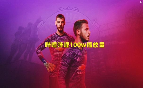 哔哩哔哩100w播放量