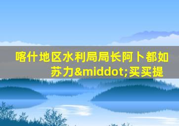 喀什地区水利局局长阿卜都如苏力·买买提