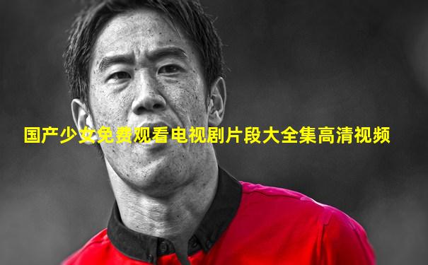 国产少女免费观看电视剧片段大全集高清视频