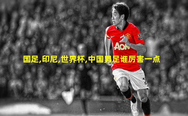 国足,印尼,世界杯,中国男足谁厉害一点