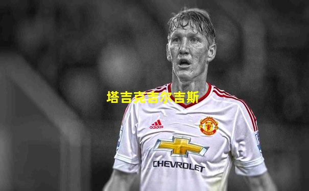 塔吉克吉尔吉斯