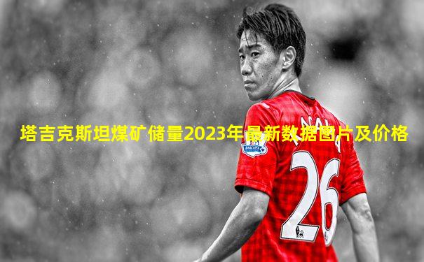 塔吉克斯坦煤矿储量2023年最新数据图片及价格