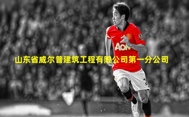 山东省威尔普建筑工程有限公司第一分公司
