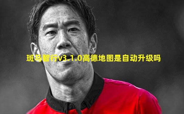 斑马智行v3.1.0高德地图是自动升级吗