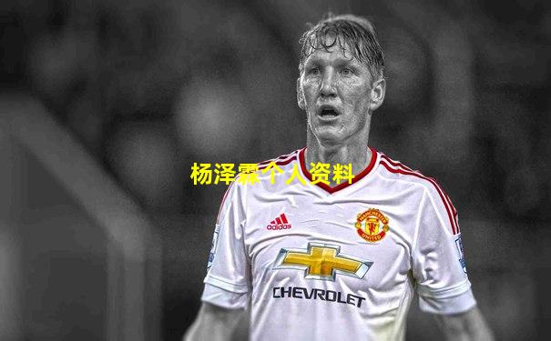 杨泽霖个人资料