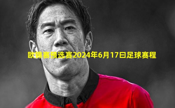 欧锦赛预选赛2024年6月17曰足球赛程