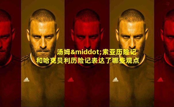 汤姆·索亚历险记和哈克贝利历险记表达了哪些观点