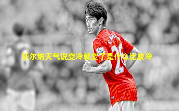 沃尔纳天气说变冷就变了是什么比较冷