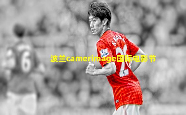 波兰camerimage国际电影节