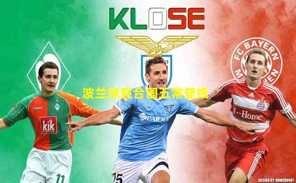波兰球联合国五常壁纸