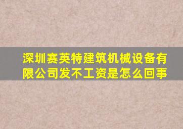 深圳赛英特建筑机械设备有限公司发不工资是怎么回事