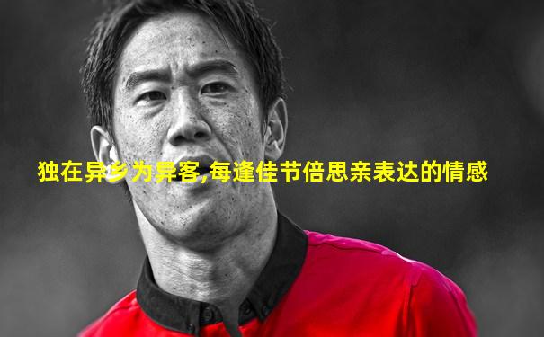独在异乡为异客,每逢佳节倍思亲表达的情感