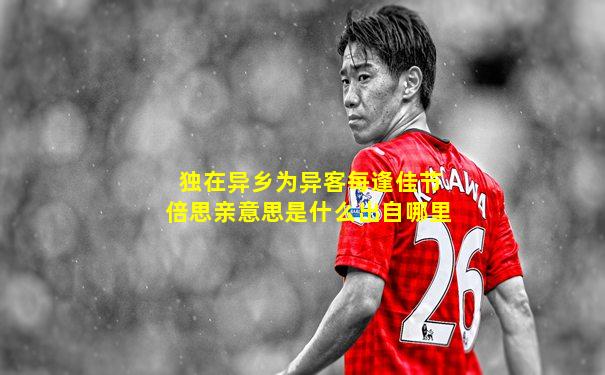 独在异乡为异客每逢佳节倍思亲意思是什么出自哪里