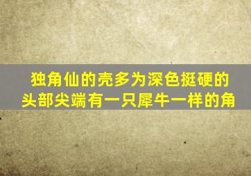 独角仙的壳多为深色挺硬的头部尖端有一只犀牛一样的角