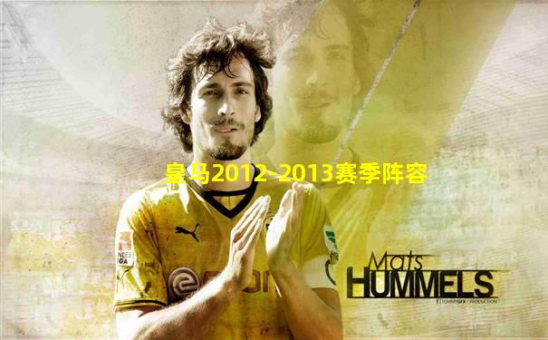 皇马2012-2013赛季阵容