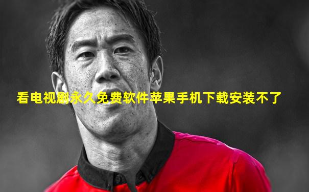 看电视剧永久免费软件苹果手机下载安装不了