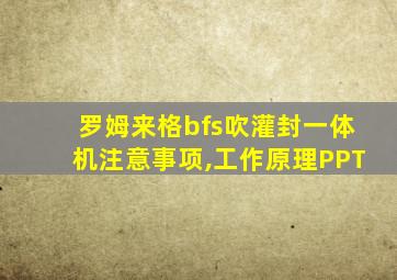 罗姆来格bfs吹灌封一体机注意事项,工作原理PPT