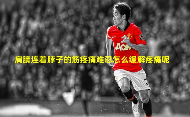 肩膀连着脖子的筋疼痛难忍怎么缓解疼痛呢