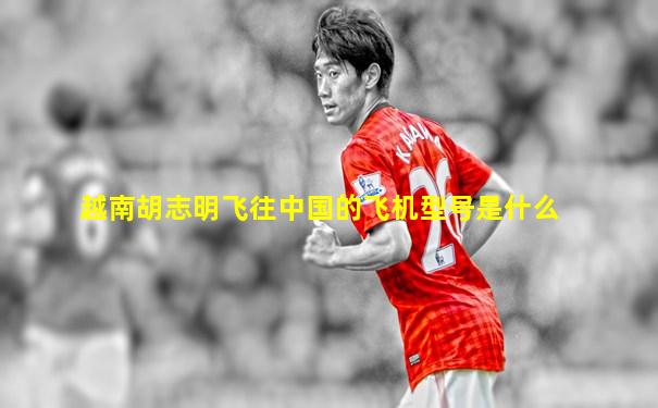 越南胡志明飞往中国的飞机型号是什么