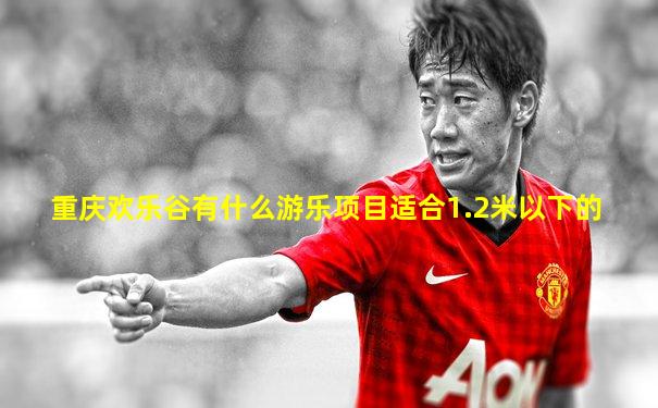 重庆欢乐谷有什么游乐项目适合1.2米以下的