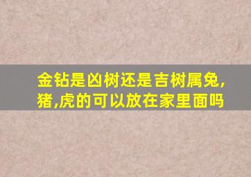 金钻是凶树还是吉树属兔,猪,虎的可以放在家里面吗
